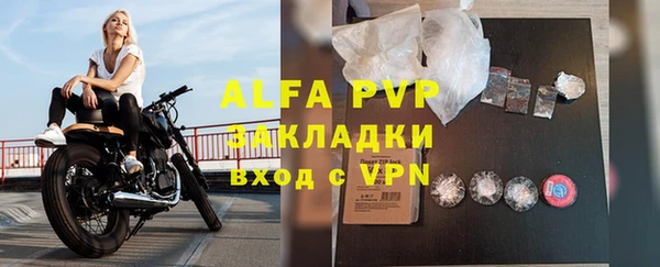 СК Медногорск