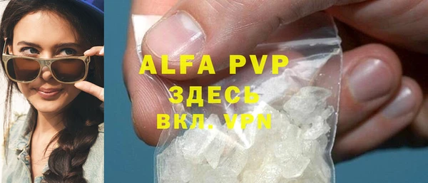 индика Медвежьегорск