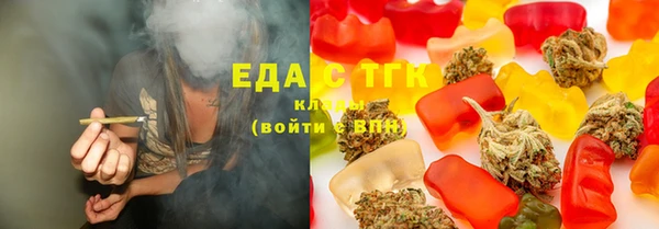индика Медвежьегорск