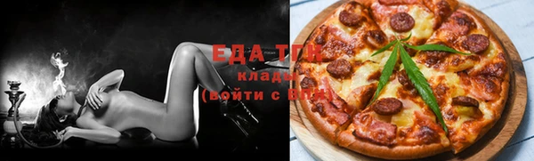 индика Медвежьегорск