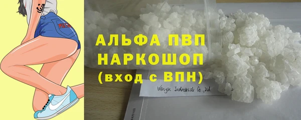 индика Медвежьегорск