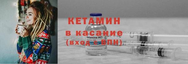 индика Медвежьегорск