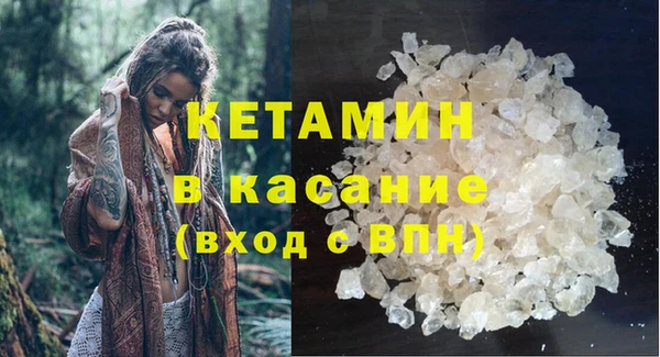 индика Медвежьегорск