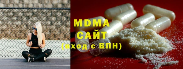 индика Медвежьегорск
