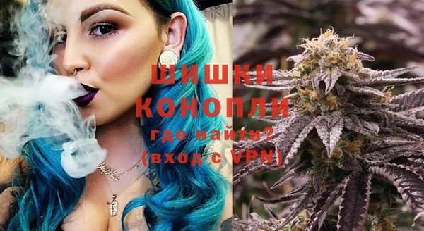 индика Медвежьегорск