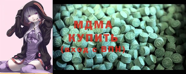индика Медвежьегорск