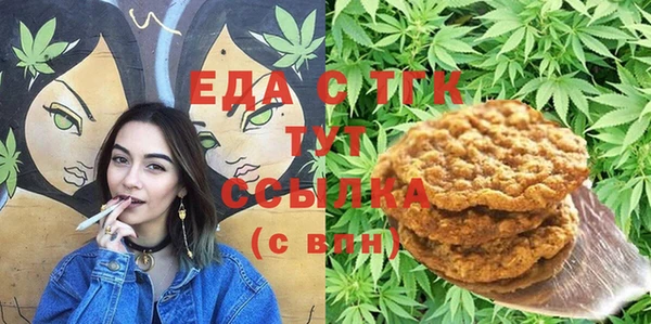 индика Медвежьегорск