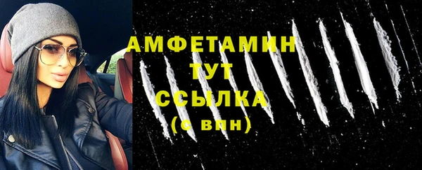 индика Медвежьегорск